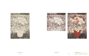 Ruth Asawa: The Tamarind Prints - Cara Manes [KSIĄŻKA]