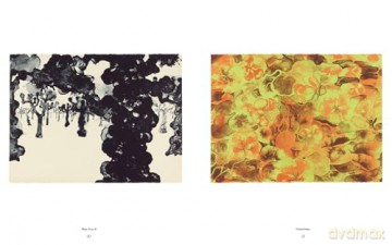 Ruth Asawa: The Tamarind Prints - Cara Manes [KSIĄŻKA]