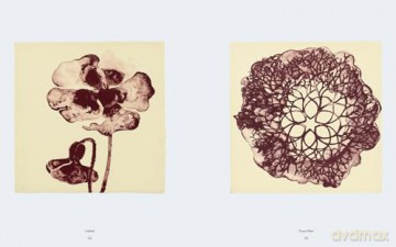 Ruth Asawa: The Tamarind Prints - Cara Manes [KSIĄŻKA]