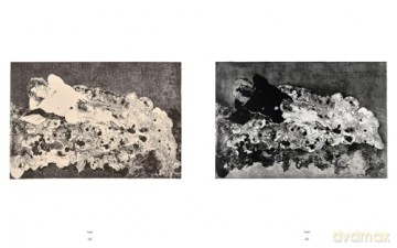 Ruth Asawa: The Tamarind Prints - Cara Manes [KSIĄŻKA]