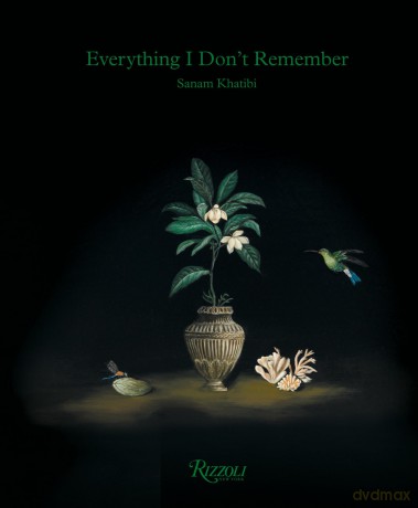 Sanam Khatibi: Everything I Dont Remember - Sanam Khatabi [KSIĄŻKA]