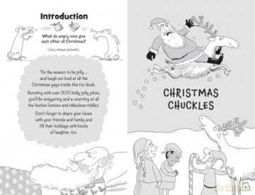 Santa's Jolly Jokes for Funny Kids - Caroline Rowlands [KSIĄŻKA]