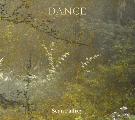 Sean Palfrey: Dance - Sean Palfrey [KSIĄŻKA]