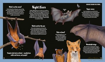 Secrets of the Stars: 15 Bedtime Stories Inspired by Nature: 3 - Alicia Klepeis [KSIĄŻKA]