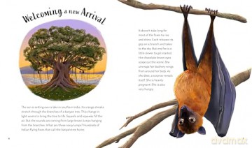 Secrets of the Stars: 15 Bedtime Stories Inspired by Nature: 3 - Alicia Klepeis [KSIĄŻKA]