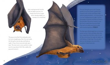 Secrets of the Stars: 15 Bedtime Stories Inspired by Nature: 3 - Alicia Klepeis [KSIĄŻKA]
