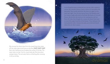 Secrets of the Stars: 15 Bedtime Stories Inspired by Nature: 3 - Alicia Klepeis [KSIĄŻKA]