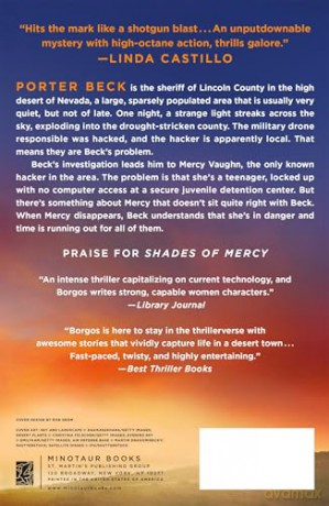 Shades of Mercy: A Porter Beck Mystery: 2 - Bruce Borgos [KSIĄŻKA]