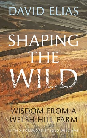 Shaping the Wild: Wisdom from a Welsh Hill Farm - David Elias [KSIĄŻKA]