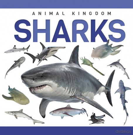Sharks - Alex Hall [KSIĄŻKA]