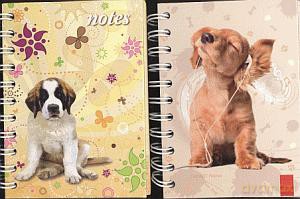 Notes A6 Spirala