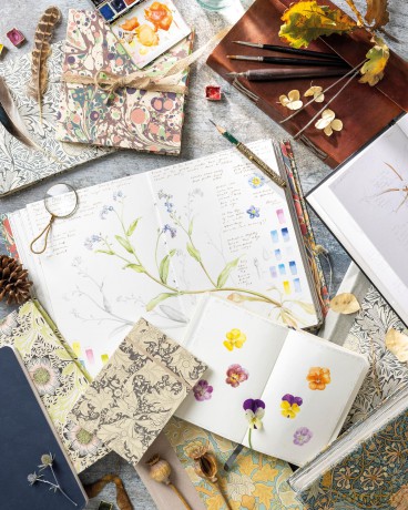 Sketching Nature: The Beginner's Guide to Keeping a Botanical Sketchbook - Dianne Sutherland [KSIĄŻKA]