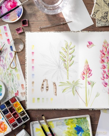 Sketching Nature: The Beginner's Guide to Keeping a Botanical Sketchbook - Dianne Sutherland [KSIĄŻKA]