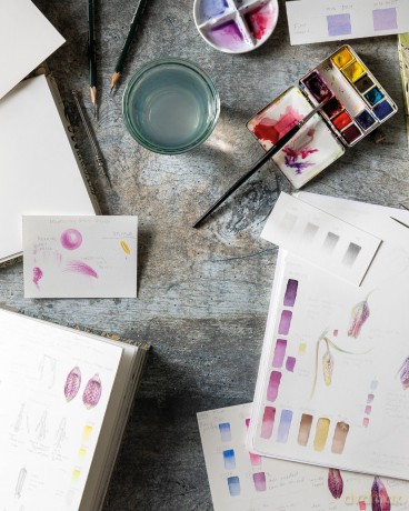 Sketching Nature: The Beginner's Guide to Keeping a Botanical Sketchbook - Dianne Sutherland [KSIĄŻKA]