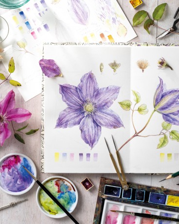 Sketching Nature: The Beginner's Guide to Keeping a Botanical Sketchbook - Dianne Sutherland [KSIĄŻKA]