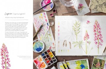 Sketching Nature: The Beginner's Guide to Keeping a Botanical Sketchbook - Dianne Sutherland [KSIĄŻKA]