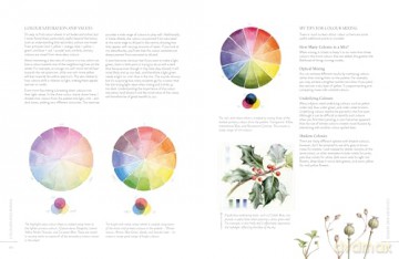 Sketching Nature: The Beginner's Guide to Keeping a Botanical Sketchbook - Dianne Sutherland [KSIĄŻKA]