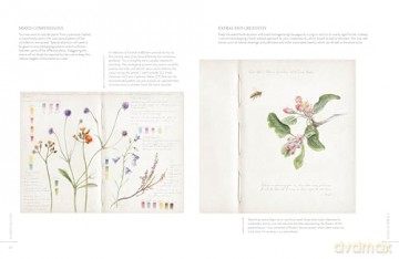 Sketching Nature: The Beginner's Guide to Keeping a Botanical Sketchbook - Dianne Sutherland [KSIĄŻKA]