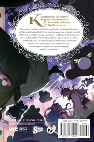 Sleepy Princess in the Demon Castle, Vol. 28: Volume 28 - Kagiji Kumanomata [KSIĄŻKA]