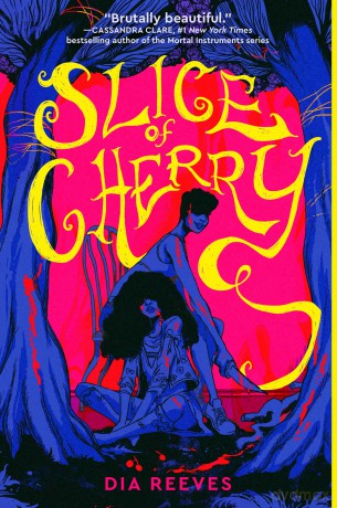Slice of Cherry - Dia Reeves [KSIĄŻKA]
