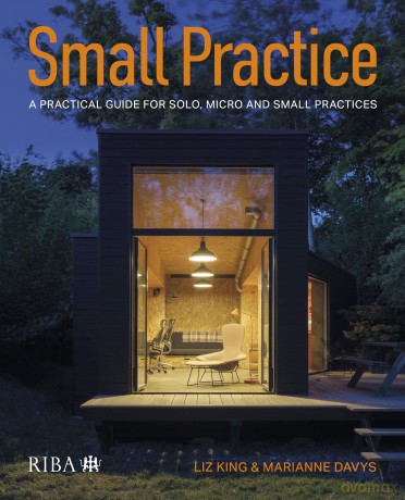 Small Practice: A practical guide for solo, micro and small practices - Liz King [KSIĄŻKA]