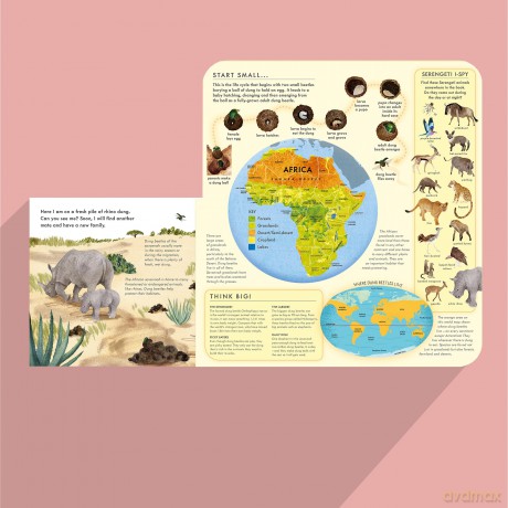 Small, Shiny Dung Beetle: A fact-filled picture book about the life cycle of dung beetles with a large fold-out map - Mary Auld [KSIĄŻKA]