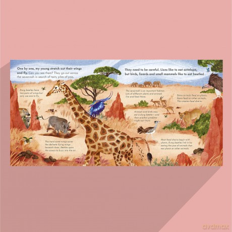 Small, Shiny Dung Beetle: A fact-filled picture book about the life cycle of dung beetles with a large fold-out map - Mary Auld [KSIĄŻKA]