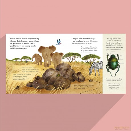 Small, Shiny Dung Beetle: A fact-filled picture book about the life cycle of dung beetles with a large fold-out map - Mary Auld [KSIĄŻKA]