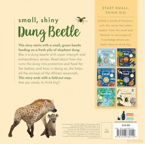 Small, Shiny Dung Beetle: A fact-filled picture book about the life cycle of dung beetles with a large fold-out map - Mary Auld [KSIĄŻKA]