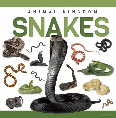 Snakes - Rebecca Phillips-Bartlett [KSIĄŻKA]