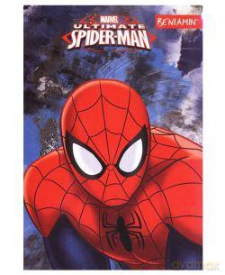 Notes A6/30 Spiderman