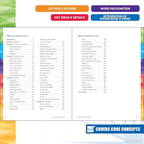 Spectrum Reading Workbook, Grade 1 - Spectrum [KSIĄŻKA]