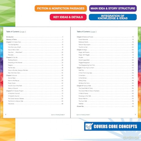 Spectrum Reading Workbook, Grade 3 - Spectrum [KSIĄŻKA]