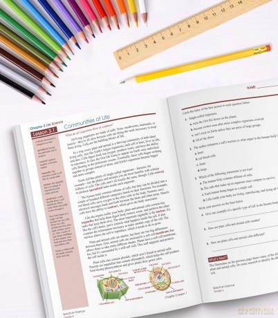 Spectrum Science, Grade 6: Volume 58 - Spectrum [KSIĄŻKA]