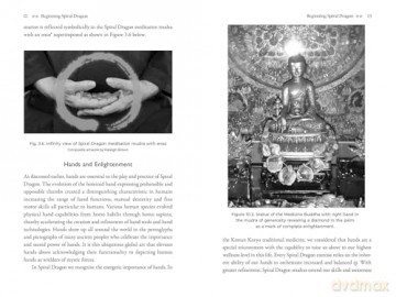 Spiral Dragon Dharma Gate: Six Key Tibetan Practices for Enlightenment - Johndennis Govert [KSIĄŻKA]