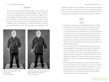 Spiral Dragon Dharma Gate: Six Key Tibetan Practices for Enlightenment - Johndennis Govert [KSIĄŻKA]