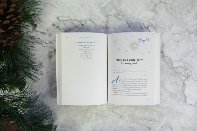 Spirit of Christmas, The: Discovering His Presence Throughout the Advent Season - Cynthia Ruchti [KSIĄŻKA]