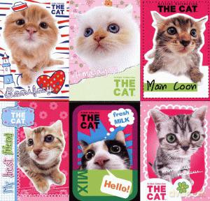 Notes A7 The Cat