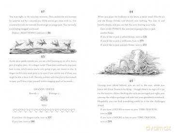 Storm Quest: An Interactive Adventure Gamebook Featuring Sea Monsters, Puzzles, and Dice Based Combat - Andy Prentice [KSIĄŻKA]