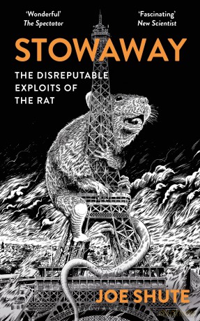 Stowaway: The Disreputable Exploits of the Rat - A NEW SCIENTIST NON-FICTION BOOK OF THE YEAR - Joe Shute [KSIĄŻKA]