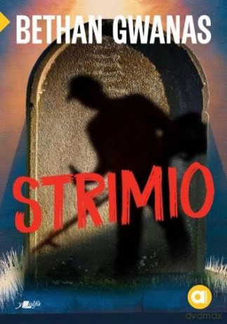 Strimio - Bethan Gwanas [KSIĄŻKA]
