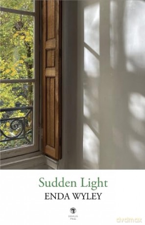 Sudden Light - Enda Wyley [KSIĄŻKA]