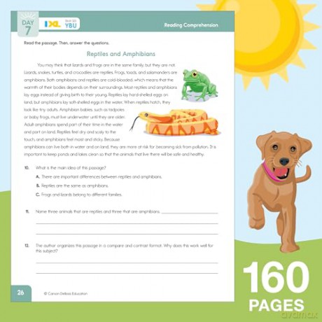 Summer Bridge Activities, Grades 4 - 5: Bridging Grades 4 to 5 - Carson Dellosa Education [KSIĄŻKA]