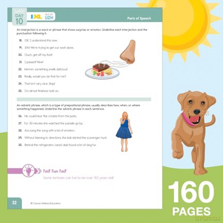 Summer Bridge Activities, Grades 5 - 6 - Carson Dellosa Education [KSIĄŻKA]