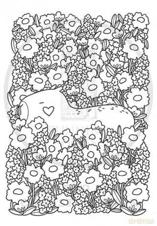 Super-Cute Capybaras: A Cozy Creatures Coloring Book - Mafalda Mota [KSIĄŻKA]