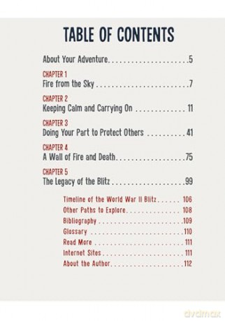 Surviving the Blitz of World War II: A History-Seeking Adventure - Allison Lassieur [KSIĄŻKA]