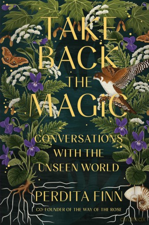 Take Back the Magic: Conversations with the Unseen World - Perdita Finn [KSIĄŻKA]