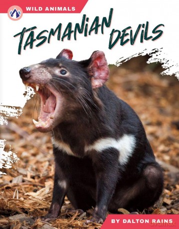 Tasmanian Devils - Dalton Rains [KSIĄŻKA]