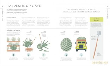 Tequila: A Tasting Course - Millie Milliken [KSIĄŻKA]