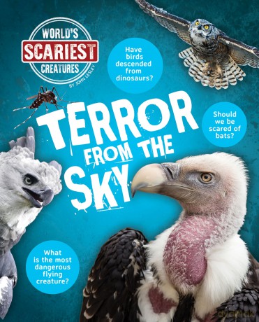 Terror from the Sky - John Lesley [KSIĄŻKA]